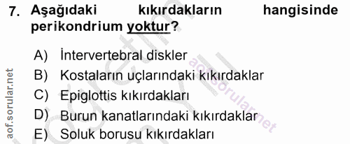7. soru: Aşağıdaki kıkırdakların hangisinde perikondrium yoktur? A) Intervertebral diskler B) Kostaların uçlarındaki kıkırdakl…
