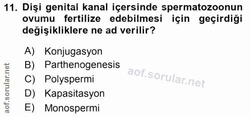 11. soru: Dişi genital kanal içersinde spermatozoonun ovumu fertilize edebilmesi için geçirdiği değişikliklere ne ad verilir? A…