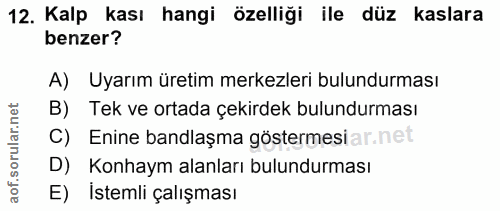 12. soru: Kalp kası hangi özelliği ile düz kaslara benzer? A) Uyarım üretim merkezleri bulundurması B) Tek ve ortada çekirdek b…