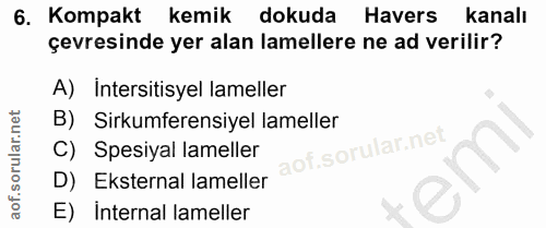 6. soru: Kompakt kemik dokuda Havers kanalı çevresinde yer alan lamellere ne ad verilir? A) Intersitisyel lameller B) | Sirkum…