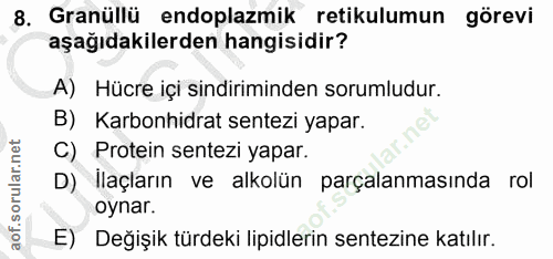 8. soru: Granüllü endoplazmik retikulumun görevi aşağıdakilerden hangisidir? A) Hücre içi sindiriminden sorumludur. B) Karbonh…