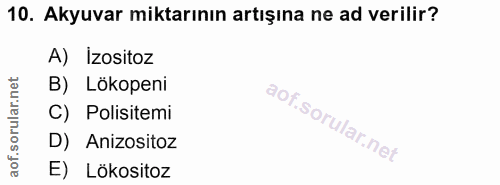 10. soru: Akyuvar miktarının artışına ne ad verilir? A) Izositoz B) Lökopeni C) Polisitemi D) Anizositoz E) Lökositoz