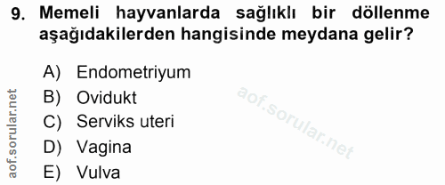 9. soru: Memeli hayvanlarda sağlıklı bir döllenme aşağıdakilerden hangisinde meydana gelir? A) Endometriyum B) Ovidukt aof.sor…