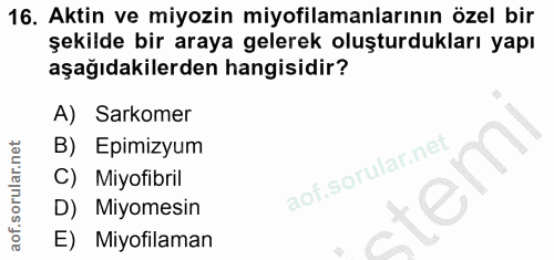 16. soru: Aktin ve miyozin miyofilamanlarının özel bir şekilde bir araya gelerek oluşturdukları yapı aşağıdakilerden hangisidir…