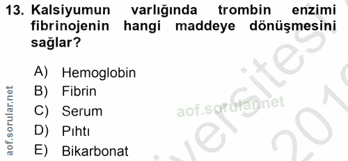 13. soru: Kalsiyumun varlığında trombin enzimi fibrinojenin hangi maddeye dönüşmesini sağlar? A) Hemoglobin B) Fibrin aof.sgrut…