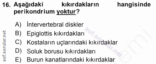 16. soru: Aşağıdaki kıkırdakların hangisinde perikondrium yoktur? A) Intervertebral diskler B) Epiglottis kıkırdakları C) Kosta…