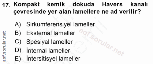 17. soru: Kompakt kemik dokuda Havers kanalı çevresinde yer alan lamellere ne ad verilir? A) Sirkumferensiyel lameller B) Ekste…