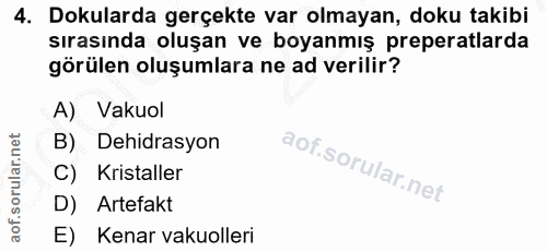 4. soru: Dokularda gerçekte var olmayan, doku takibi Sırasında oluşan ve boyanmış preperatlarda görülen oluşumlara ne ad veril…