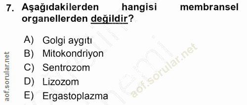7. soru: Aşağıdakilerden hangisi membransel organellerden değildir? A) Golgi aygıtı B) Mitokondriyon C) Sentrozom D) Lizozom E…