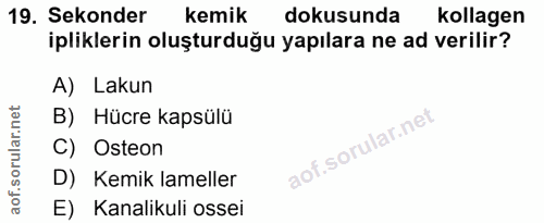 19. soru: Sekonder kemik dokusunda kollagen ipliklerin oluşturduğu yapılara ne ad verilir? A) Lakun B) Hücre kapsülü C) Osteon…