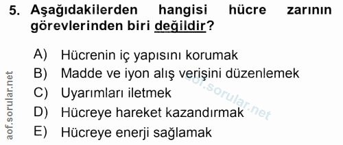 5. soru: Aşağıdakilerden hangisi hücre zarının görevlerinden biri değildir? A) Hücrenin iç yapısını korumak B) Madde ve iyon a…