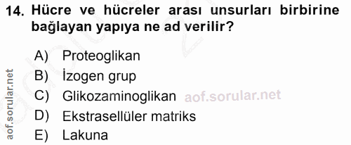 14. soru: Hücre ve hücreler arası unsurları birbirine bağlayan yapıya ne ad verilir? A) Proteoglikan B) Izogen grup C) Glikozam…