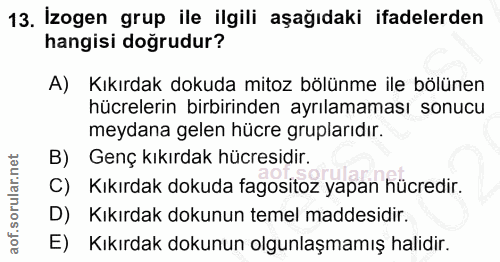 13. soru: İzogen grup ile ilgili aşağıdaki ifadelerden hangisi doğrudur? A) Kıkırdak dokuda mitoz bölünme ile bölünen hücreleri…