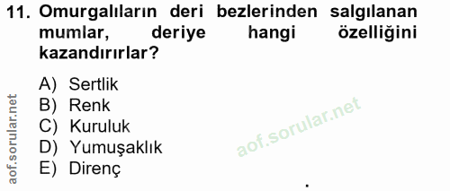 11. soru: Omurgalıların deri bezlerinden salgılanan mumlar, deriye hangi özelliğini kazandırırlar? A) Sertlik B) Renk C) Kurulu…