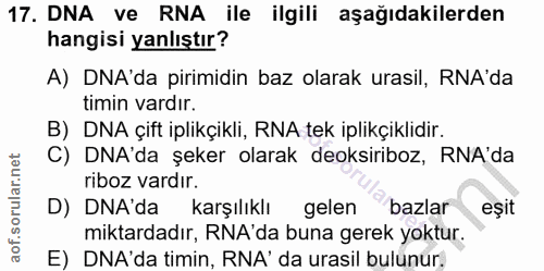 17. soru: DNA ve RNA ile ilgili aşağıdakilerden hangisi yanlıştır? A) DNA'da pirimidin baz olarak urasil, RNA'da timin vardır.…