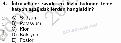 4. soru: Intrasellüler sivida en fazla bulunan temel katyon aşağıdakilerden hangisidir? A) Sodyum B) Potasyum C) Klor D) Kalsi…