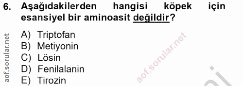 6. soru: Aşağıdakilerden hangisi köpek için esansiyel bir aminoasit değildir? A) Triptofan B) Metiyonin C) Lösin D) Fenilalani…