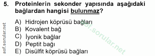5. soru: Proteinlerin sekonder yapısında aşağıdaki bağlardan hangisi bulunmaz? A) Hidrojen köprüsü bağları B) Kovalent bağ C)…