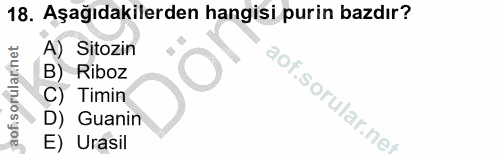 18. soru: Aşağıdakilerden hangisi purin bazdır? A) Sitozin aofisorularnet B) Riboz C) Timin aof.sorular.nef D) Guanin E) Urasil