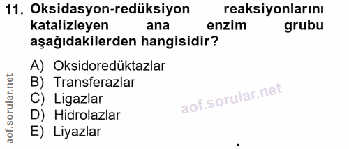 11. soru: Oksidasyon-redüksiyon reaksiyonlarını katalizleyen ana enzim grubu aşağıdakilerden hangisidir? A) Oksidoredüktazlar B…