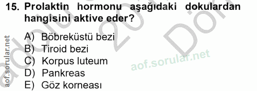 15. soru: Prolaktin hormonu aşağıdaki dokulardan hangisini aktive eder? A) Böbreküstü bezi B) Tiroid bezi aof.sorulaf.net C) Ko…