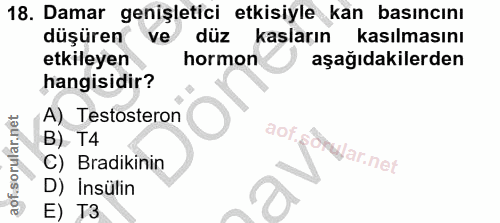 18. soru: Damar genişletici etkisiyle kan basıncını düşüren ve l düz kasların kasılmasını etkileyen hormon aşağıdakilerden hang…