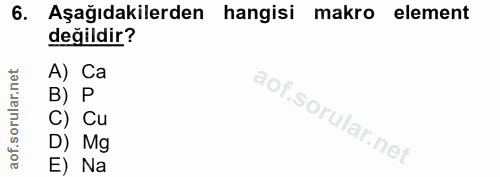 6. soru: Aşağıdakilerden hangisi makro element değildir? A) Ca B) P C) Cu D) Mg E) Na