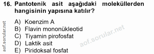 16. soru: Pantotenik asit aşağıdaki moleküllerden hangisinin yapısına katılır? A) Koenzim A B) Flavin mononükleotid C) Tiyamin…
