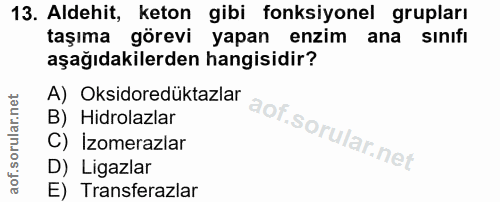 13. soru: Aldehit, keton gibi fonksiyonel grupları taşıma görevi yapan enzim ana sınıfı aşağıdakilerden hangisidir? A) Oksidore…