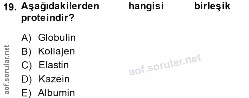 19. soru: Aşağıdakilerden hangisi birleşik proteindir? A) Globulin orular.net B) Kollajen C) Elastin aof.s D) Kazein E) Albumin