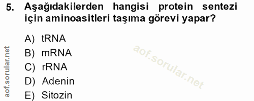 5. soru: Aşağıdakilerden hangisi protein sentezi için aminoasitleri taşıma görevi yapar? A) tRNA B) mRNA C) IRNA D) Adenin E)…