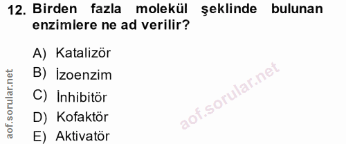 12. soru: Birden fazla molekül şeklinde bulunan enzimlere ne ad verilir? A) Katalizör B) İzoenzim C) İnhibitör D) Kofaktör E) A…