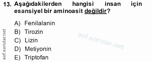 13. soru: Aşağıdakilerden hangisi insan için esansiyel bir aminoasit değildir? A) Fenilalanin B) Tirozin C) Lizin D) Metiyonin…