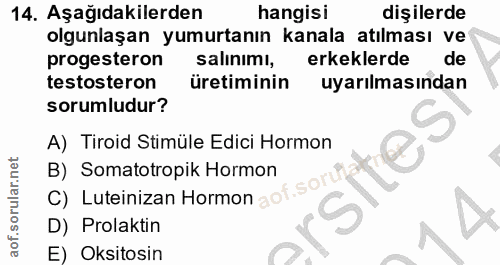 14. soru: Aşağıdakilerden hangisi dişilerde olgunlaşan yumurtanın kanala atılması ve progesteron salınımı, erkeklerde de testos…