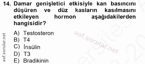 14. soru: Damar genişletici etkisiyle kan basıncını düşüren ve düz kasların kasılmasını etkileyen hormon aşağıdakilerden hangis…
