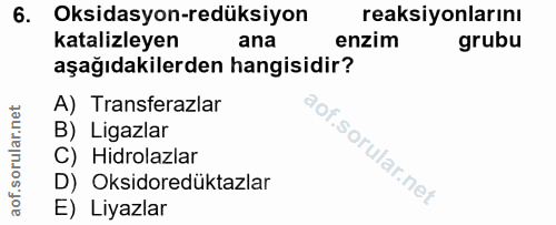 6. soru: Oksidasyon-redüksiyon reaksiyonlarını katalizleyen ana enzim grubu aşağıdakilerden hangisidir? A) Transferazlar B) Li…