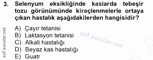 3. soru: Selenyum eksikliğinde kaslarda tebeşir tozu görünümünde kireçlenmelerle ortaya çıkan hastalık aşağıdakilerden hangisi…