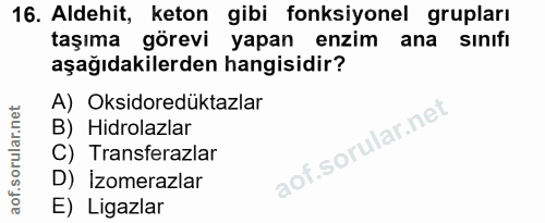 16. soru: Aldehit, keton gibi fonksiyonel grupları taşıma görevi yapan enzim ana sınıfı aşağıdakilerden hangisidir? A) Oksidore…