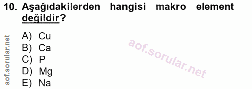 10. soru: Aşağıdakilerden hangisi makro element değildir? A) Cu B) Ca C) P D) Mg E) Na