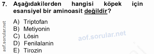 7. soru: Aşağıdakilerden hangisi köpek için esansiyel bir aminoasit değildir? A) Triptofan B) Metiyonin C) Lösin D) Fenilalani…