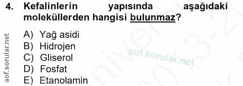 4. soru: Kefalinlerin yapısında aşağıdaki moleküllerden hangisi bulunmaz? A) Yağ asidi B) Hidrojen C) Gliserol D) Fosfat E) Et…