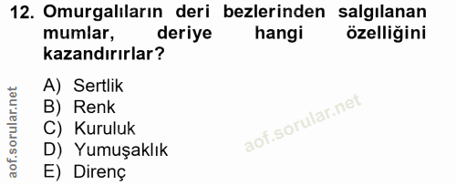 12. soru: Omurgalıların deri bezlerinden salgılanan mumlar, deriye hangi özelliğini kazandırırlar? A) Sertlik B) Renk C) Kurulu…