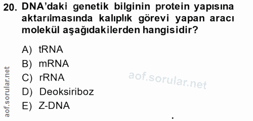 20. soru: DNA'daki genetik bilginin protein yapısına aktarılmasında kalıplık görevi yapan aracı molekül aşağıdakilerden hangisi…