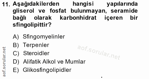 11. soru: Aşağıdakilerden hangisi yapılarında gliserol ve fosfat bulunmayan, seramide bağlı olarak karbonhidrat içeren bir sfin…