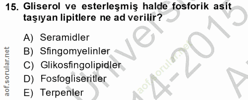 15. soru: Gliserol ve eterleşmiş halde fosforik asit taşıyan lipitlere ne ad verilir? A) Seramidler B) Sfingomyelinler C) Gliko…
