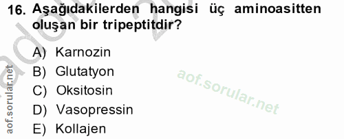 16. soru: Aşağıdakilerden hangisi üç aminoasitten oluşan bir tripeptitdir? A) Karnozin B) Glutatyon C) Oksitosin D) Vasopressin…