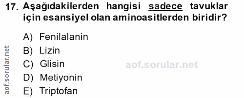 17. soru: Aşağıdakilerden hangisi sadece tavuklar için esansiyel olan aminoasitlerden biridir? A) Fenilalanin B) Lizin C) Glisi…