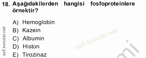 18. soru: Aşağıdakilerden hangisi fosfoproteinlere örnektir? A) Hemoglobin B) Kazein C) Albumin D) Histon E) Tirozinaz