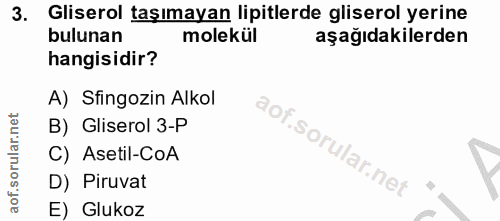 3. soru: Gliserol taşımayan lipitlerde gliserol yerine bulunan molekül aşağıdakilerden hangisidir? A) Sfingozin Alkol B) Glise…