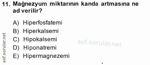 11. soru: Mağnezyum miktarının kanda artmasına ne ad verilir? A) Hiperfosfatemi B) Hiperkalsemi C) Hipokalsemi D) Hiponatremi E…